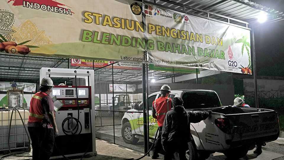 The energy shock triggers an Asian dash for biofuels